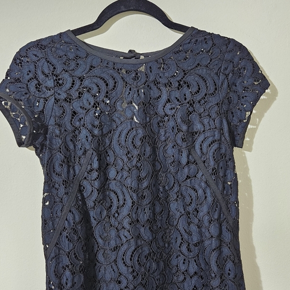 Loft Lace Overlay Sheath Dress - Picture 5 of 7